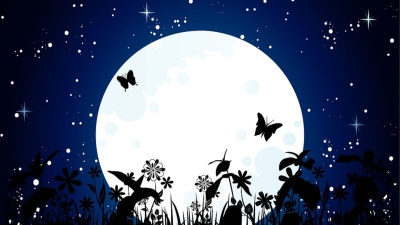 Luna plina in Berbec, 14 octombrie 2019, omida devine fluture