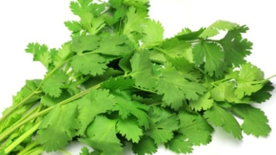 Medicina ayurvedica: Coriandrul combate alergiile