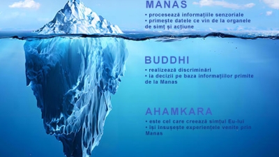 citta mintea yoga iceberg