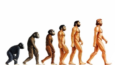 Prima teorie evolutionista, mai veche cu 600 de ani decat a lui Darwin