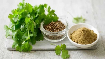 Remedii ayurvedice pentru infectiile de tract urinar