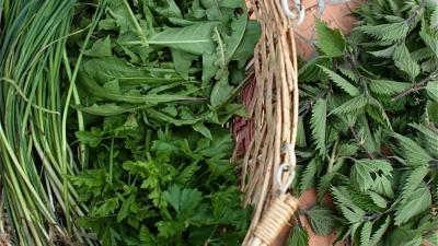 Retete de post pe baza de verdeturi de primavara