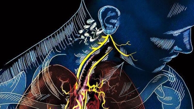 Stimularea nervului vag (prin yoga) reduce inflamatia