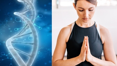 Yoga si meditatia lasa o semnatura moleculara in celulele noastre, la nivel ADN