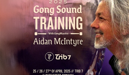 Aidan McIntyre - Gong Sound Training