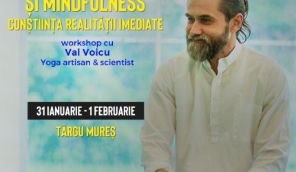 Constiinta realitatii imediate