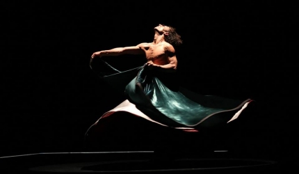 Dervish in Progress (Body Economy and Awareness)