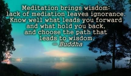 Inner Meditation & Mindfulness Series by Hatha Yoga Seva