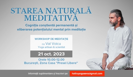 workshop meditație Val Voicu