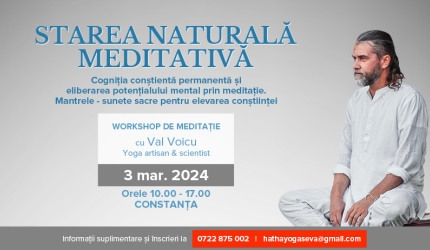 workshop meditație Val Voicu
