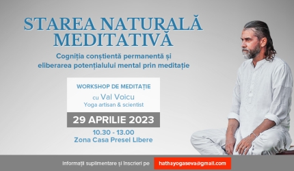 workshop meditație Val Voicu
