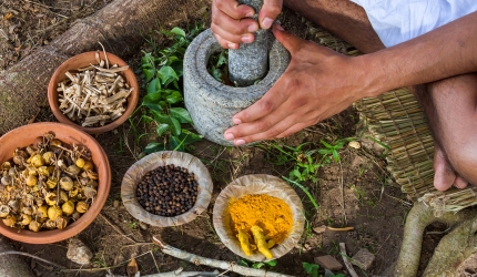 10 plante ayurvedice pe care orice medic ar trebui sa le recomande