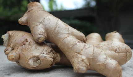 3 plante benefice pe timp de toamna