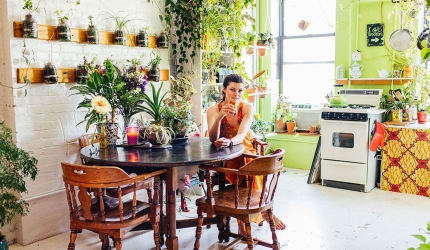 Plante care purifică aerul