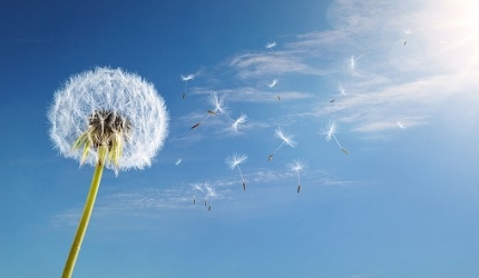 Aerul vibrația eterică a Universului