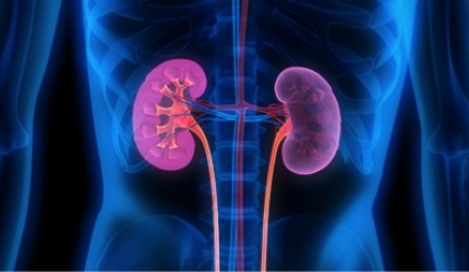 Asane care îmbunătățesc funcțiile renale