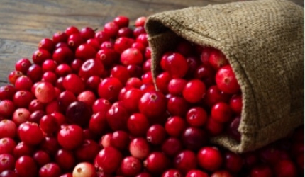 Beneficiile nutriționale ale merișoarelor