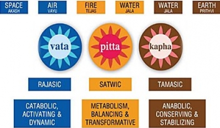 dosha Cele 3 Dosha (tipologii constituționale) dominante.