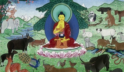 Consumul de carne – permis sau nu de Buddha?