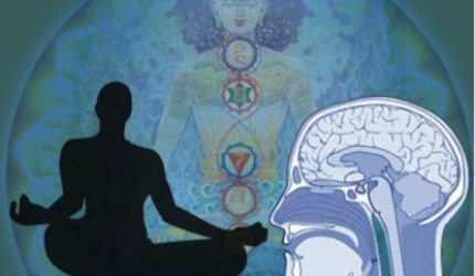 Cum funcționează yoga, potrivit neuroștiințelor