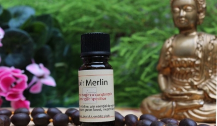 Despre Elixirul Merlin, folosit în alchimia europeană medievală