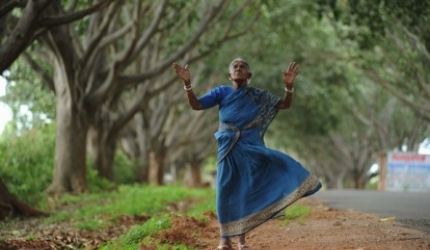 Eliberarea, explicata printr-o pilda plina de intelepciune