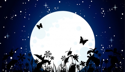 Luna plina in Berbec, 14 octombrie 2019, omida devine fluture