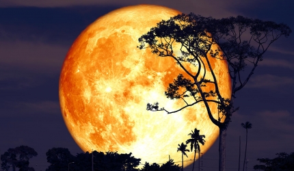 Luna Noua In Taur 23 Aprilie 2020 Acceptare Neconditionata Sau Tu Versus Univers