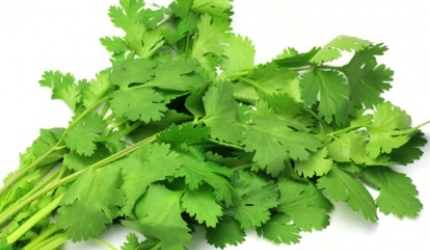 Medicina ayurvedica: Coriandrul combate alergiile