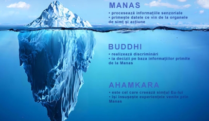 citta mintea yoga iceberg