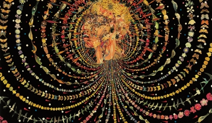 Moartea, din perspectiva biocentrismului