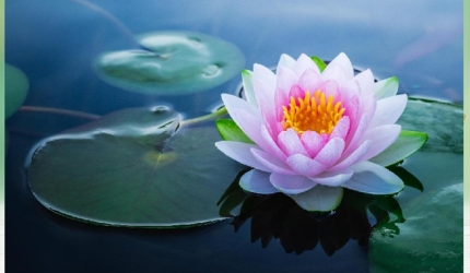 Padma Purana, textul sattvic al iluminării