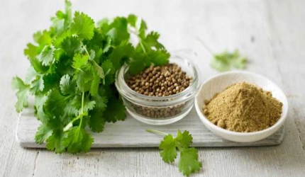 Remedii ayurvedice pentru infectiile de tract urinar