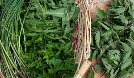 Retete de post pe baza de verdeturi de primavara