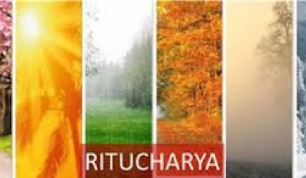 Ritucharya-ritual