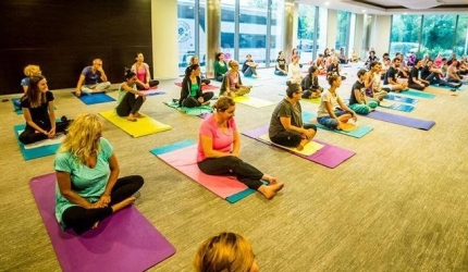 Şcoala Hatha Yoga Seva – 10 ani de existenţă Hari Om Tat Sat