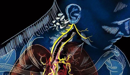 Stimularea nervului vag (prin yoga) reduce inflamatia