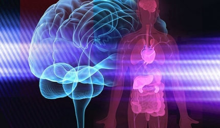 conexiunea-minte-corp