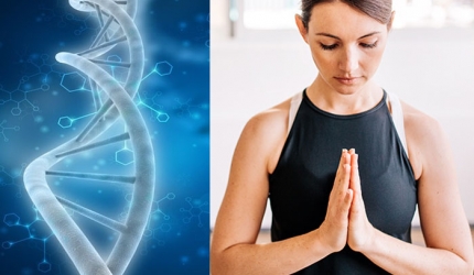 Yoga si meditatia lasa o semnatura moleculara in celulele noastre, la nivel ADN