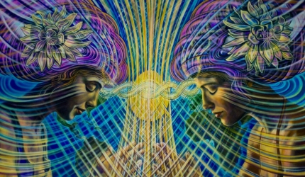 Yoga, spiritualitatea si consumul de alcool, droguri sau ayahuasca