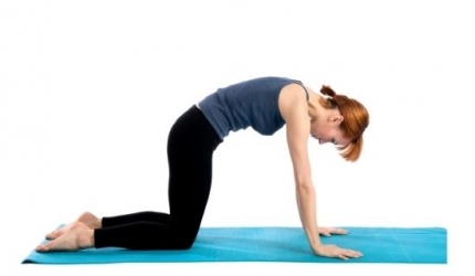 Marjaryasana (Postura pisicii)