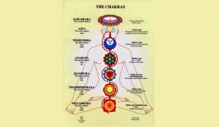 Curs Chakra Sistem – Bucuresti, Aprilie 2019