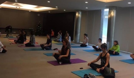 Cursuri Hatha Yoga SEVA