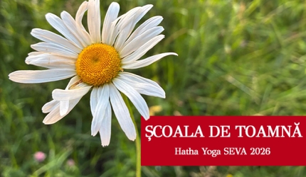 scoala de toamna mediu Para Puja